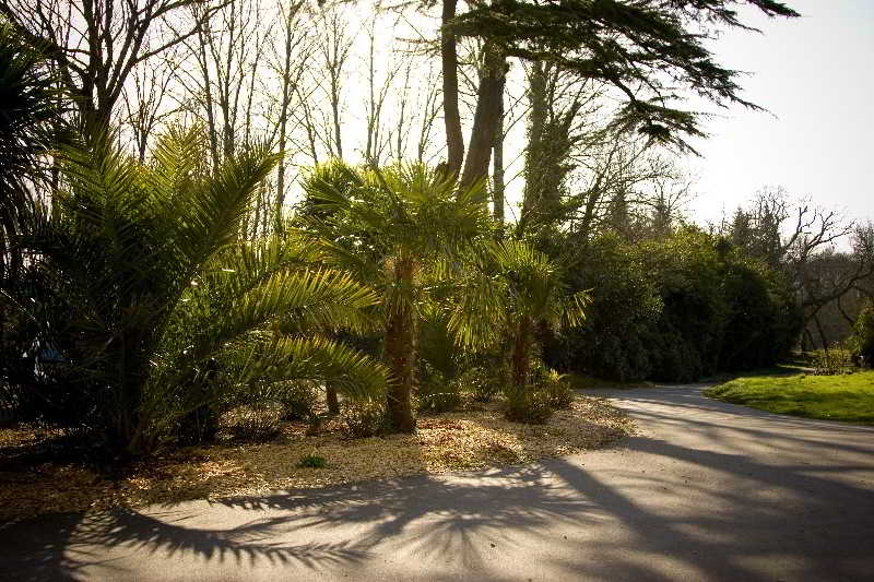Manoir Hotel Des Indes  | Quimper | Finistere | France 2