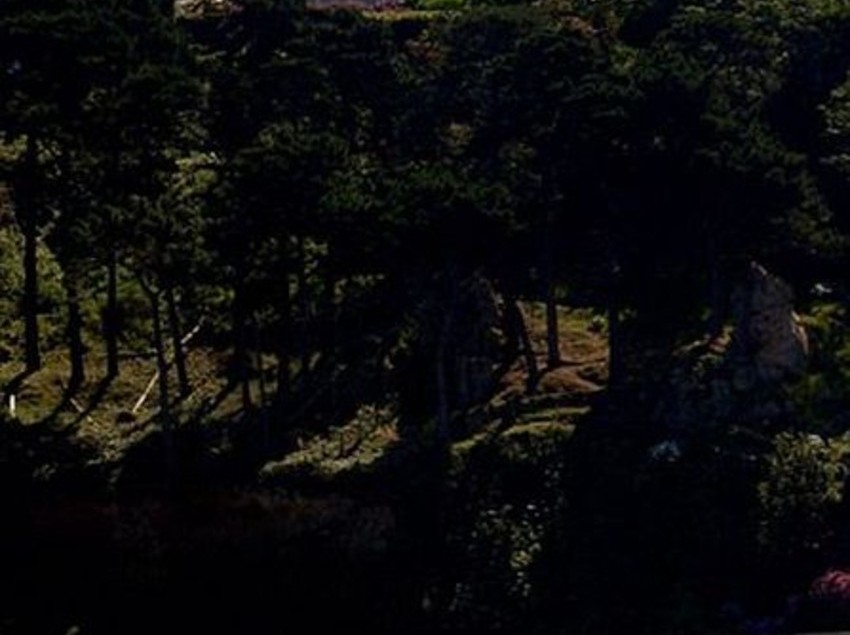 Hotel Les Costans  | Perros Guirec | Côtes-d'Armor | France 13