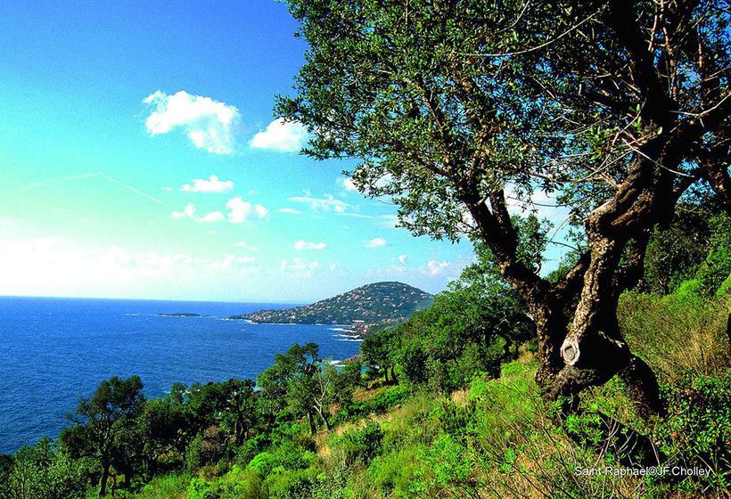 Hôtel Club Belambra Saint Raphaël - Les Chênes Verts  | Saint Raphael | Var | France 6