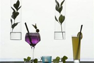 Hôtel le Concorde  | Thionville | Moselle | France 16