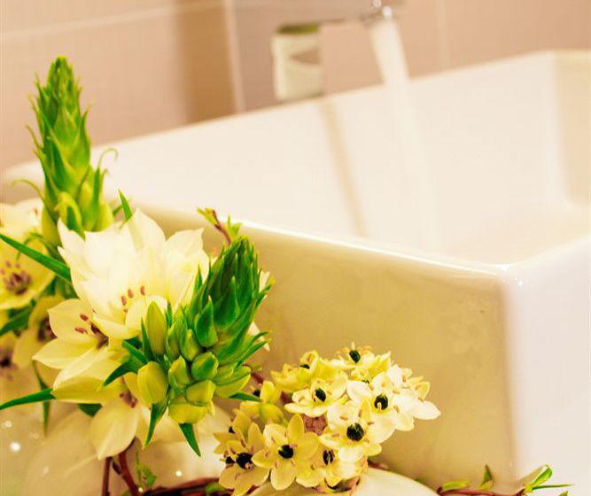 Privilege Apparthotel Clement Ader  | Toulouse | Haute-Garonne | France 20