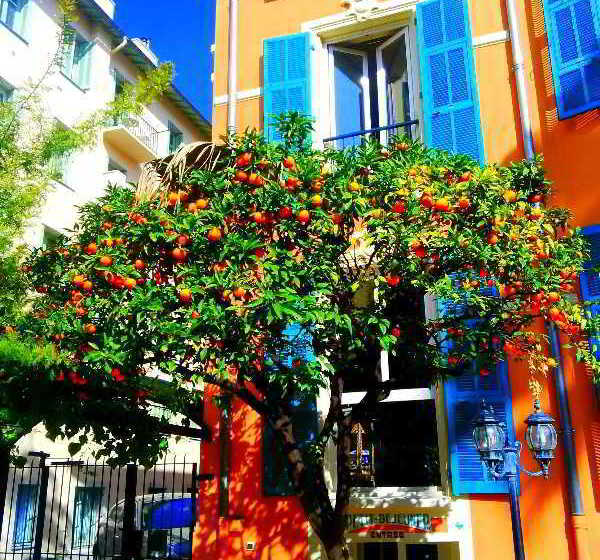 Hôtel Durante  | Nice | Alpes-Maritimes | France 3