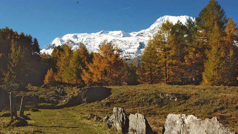 Hotel Residence Eco Le Ruitor  | Sainte foy Tarentaise | Savoie | Frankreich 3