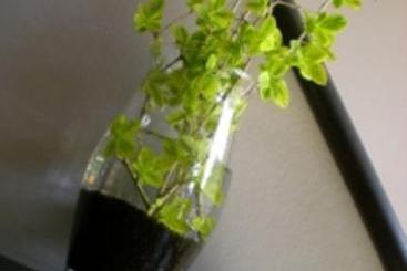 Hôtel Du Palais  | Saint-Malo | Ille-et-Vilaine | France 8