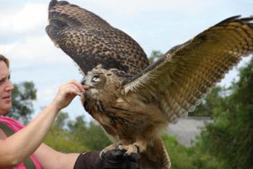 Bed & Breakfast L'Ancien Presbytere  | Le Dorat | Haute-Vienne | France 3