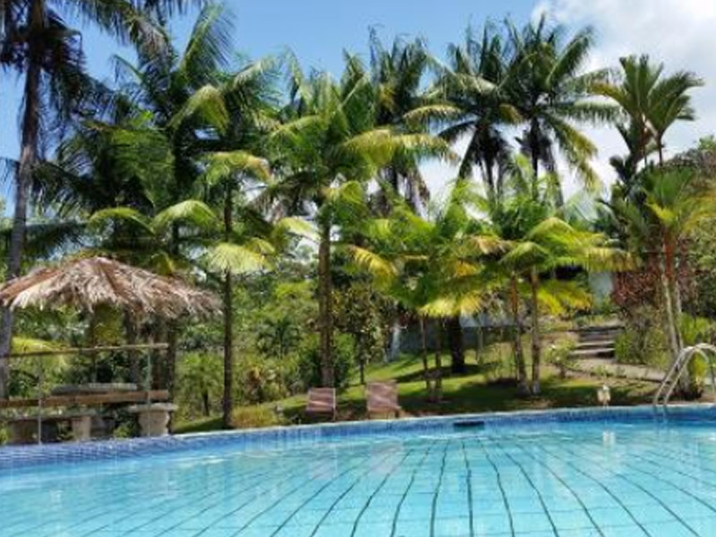 Hotel Finca Bavaria  | Uvita | Puntarenas | Costa Rica 2