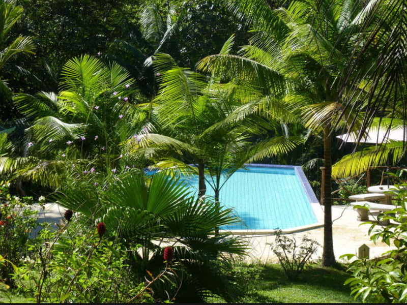 Hotel Finca Bavaria  | Uvita | Puntarenas | Costa Rica 6