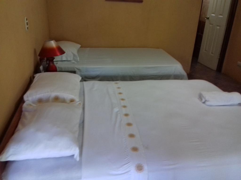 Hotel Arenas De Osa Lodge  | Puerto Jiménez | Puntarenas | Costa Rica 8