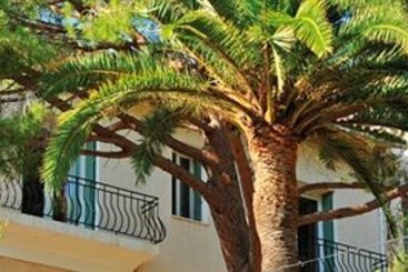 Residence Cote Sud Bandol  | Bandol | Var | France 8