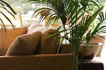 Hôtel Cannes Villa St Barth  | Cannes | Alpes-Maritimes | France 7