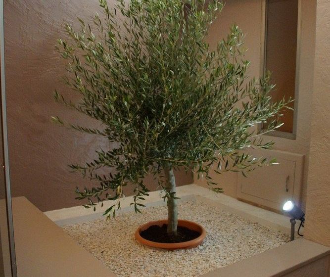 Hôtel Aragon  | Perpignan | Pyrenees-Orientales | France 5