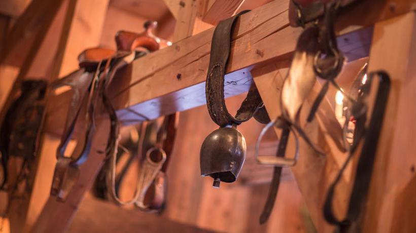 Park & Suites Prestige Megeve Les Loges Blanches  | Megeve | Haute-Savoie | France 8