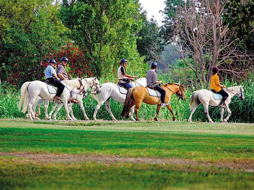 Residence Maeva Le Domaine L'Estajan  | Arles | Bouches du Rhone | France 1