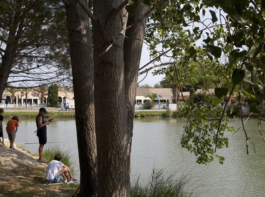 Residence Maeva Le Domaine L'Estajan  | Arles | Bouches du Rhone | France 4
