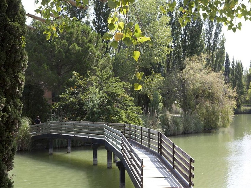 Residence Maeva Le Domaine L'Estajan  | Arles | Bouches du Rhone | France 5