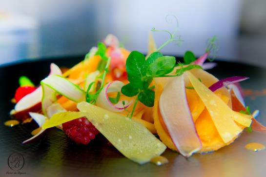 Perier du Bignon Hotel Laval  | Laval | Mayenne | France 2