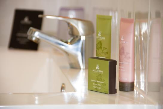 Ashley Hotel Le Mans  | Le Mans | Sarthe | France 19