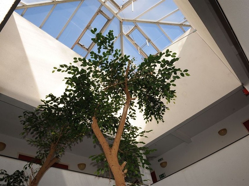 Hôtel Relais Vert  | Montbeliard | Doubs | France 5