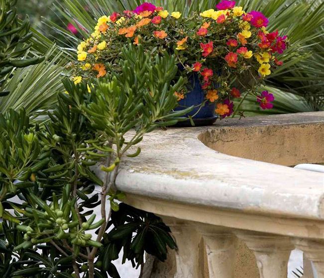 Du Soleil  | Saint Raphael | Var | France 1