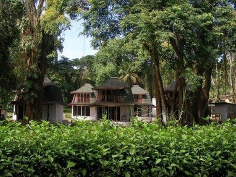 Hotel Los Continentes  | Puerto Viejo de Talamanca | Limón | Costa Rica 5