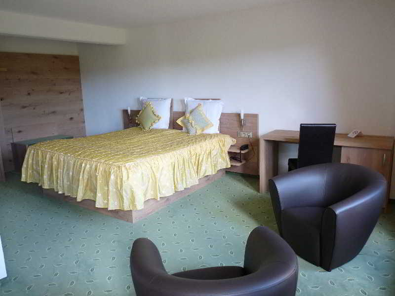 Hôtel Le Petit Kohlberg  | Montbeliard | Doubs | France 5