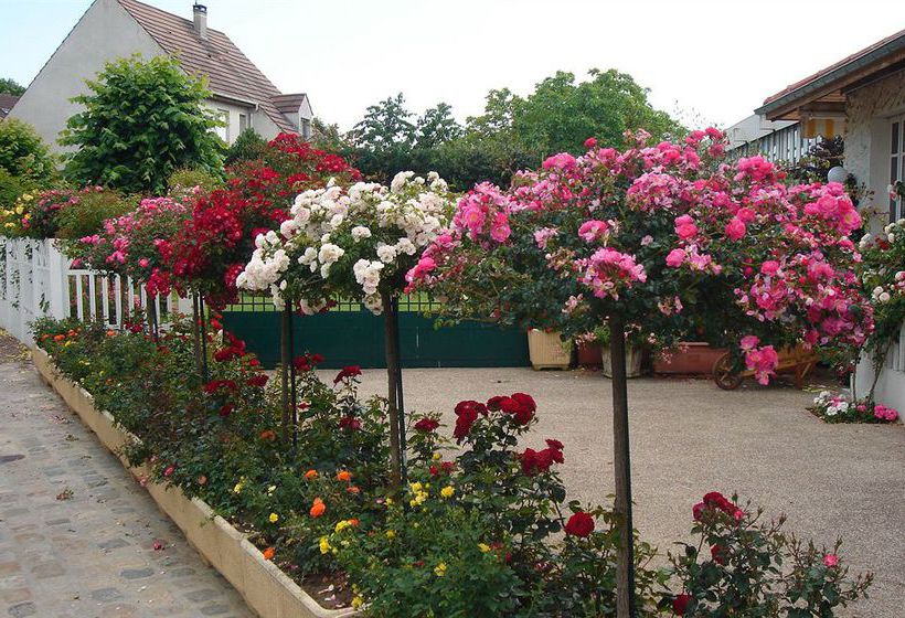 Hôtel Restaurant Maison Blanche  | Rungis | Val-de-Marne | France 15