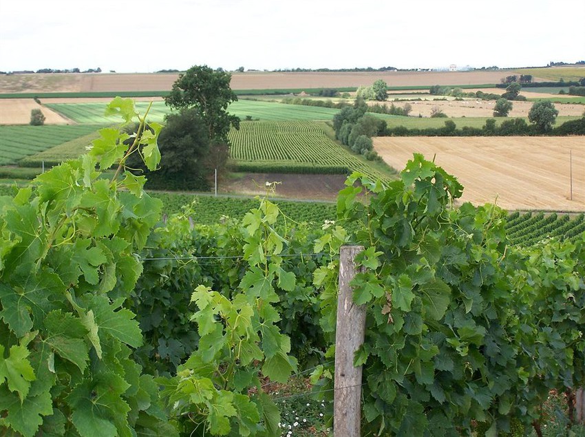 Hôtel Chateau De La Sebrandiére  | La Rochelle | Charente-Maritime | France 1