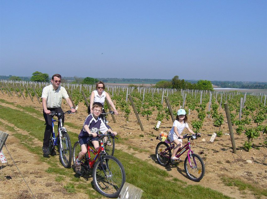 Hôtel Chateau De La Sebrandiére  | La Rochelle | Charente-Maritime | France 5