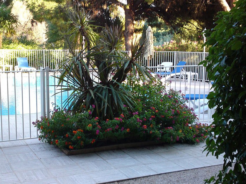 Hôtel Domaine Du Calidianus  | Sainte Maxime | Var | France 2