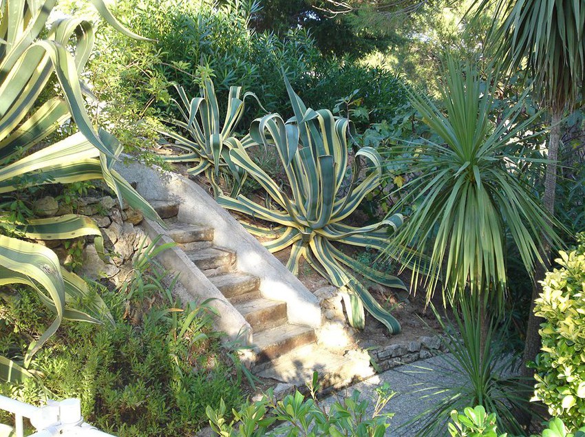 Hôtel Domaine Du Calidianus  | Sainte Maxime | Var | France 3