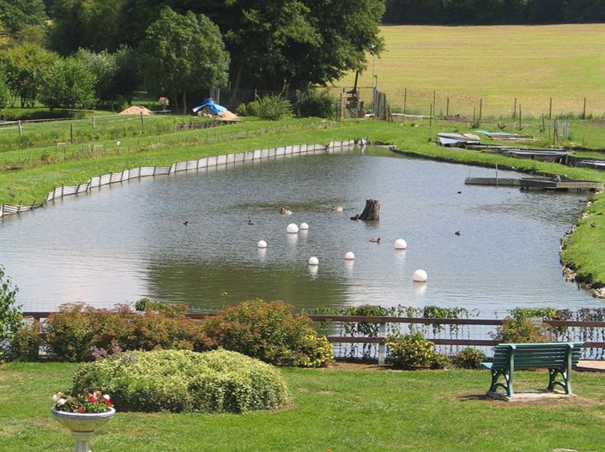 Hôtel Auberge De La P?che ? La Truite 