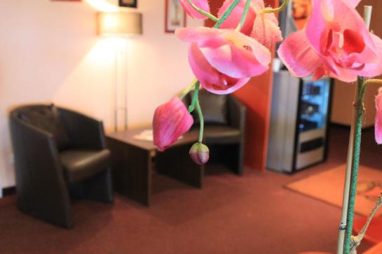 Hôtel Quick Palace  | Noyelles Godault | Pas-de-Calais | France 14