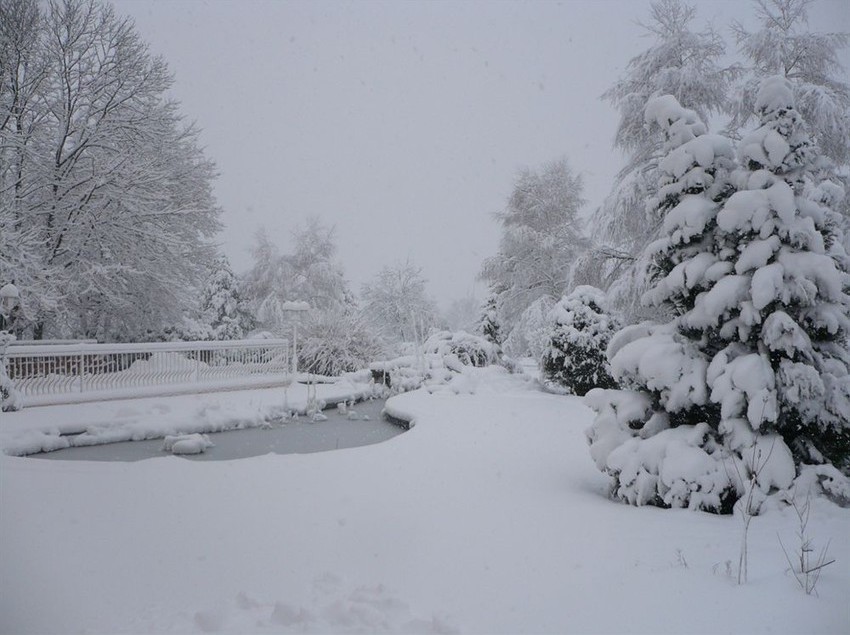 Hôtel Des Roches  | Saales | Bas-Rhin | France 5