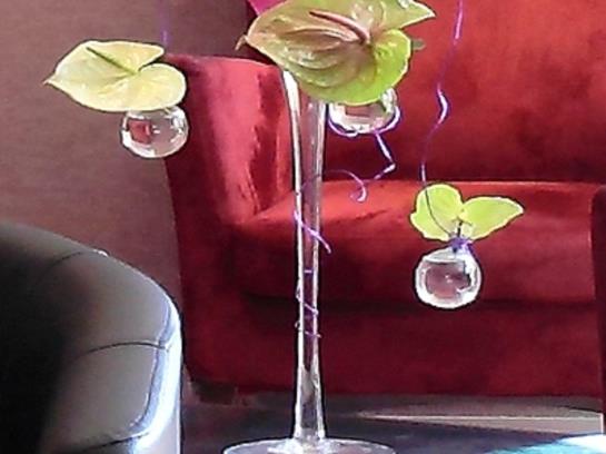 Hôtel Des Cépages  | Arbois | Jura | France 7