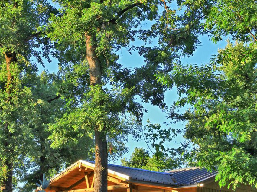 Albirondack Park Camping Lodge And Spa  | Albi | Tarn | France 3