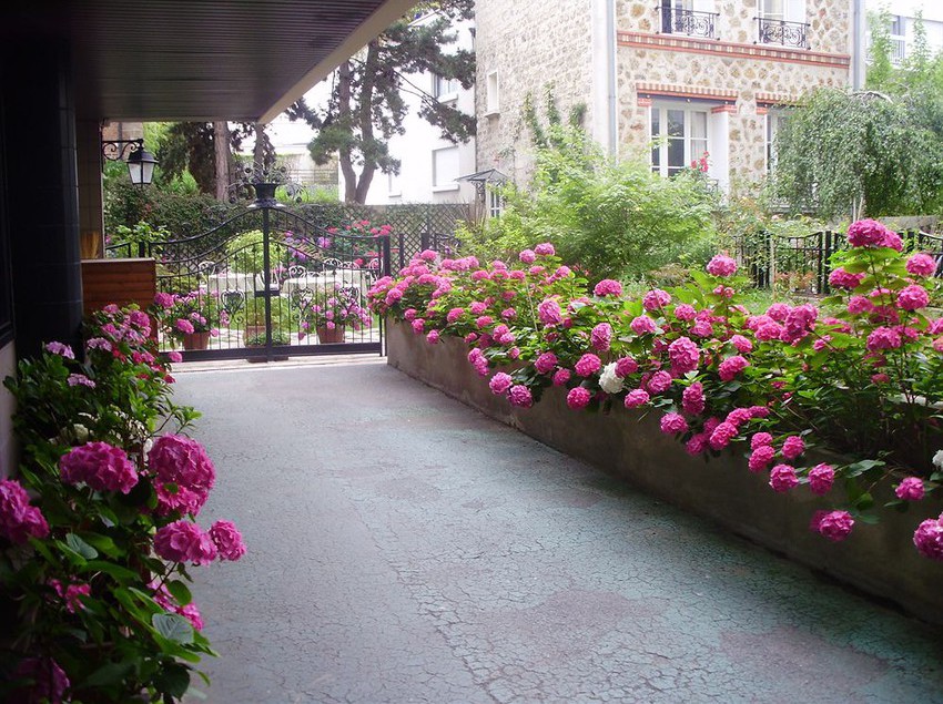 Villa Escudier  | Boulogne-Billancourt | Hauts-de-Seine | France 13