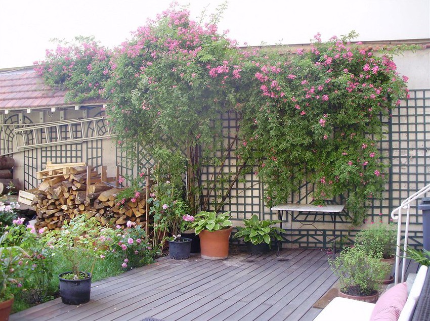 Villa Escudier  | Boulogne-Billancourt | Hauts-de-Seine | France 5