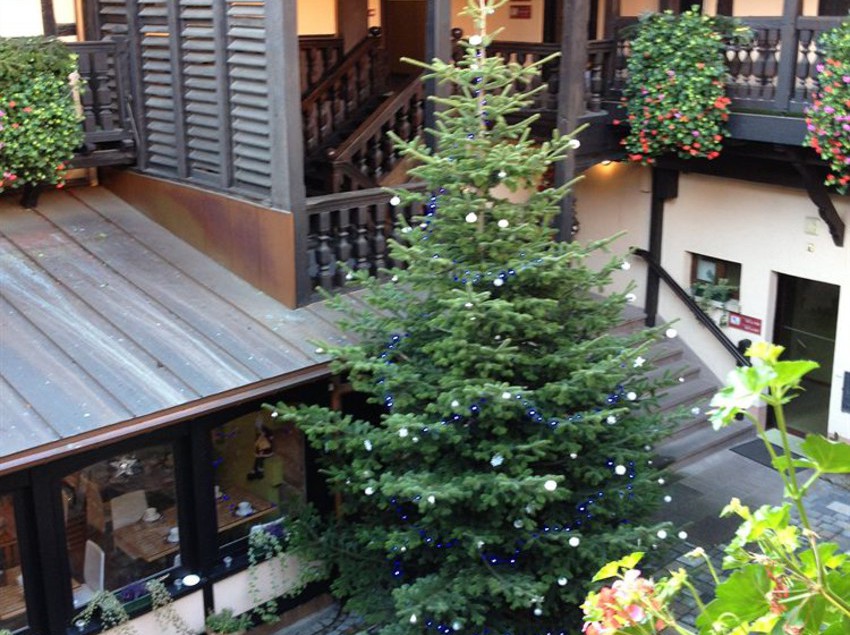 Hôtel Le Gouverneur  | Obernai | Bas-Rhin | France 1