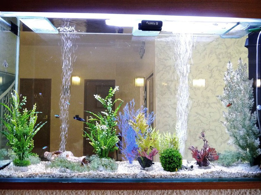 Hôtel Alexander  | Perpignan | Pyrenees-Orientales | France 3