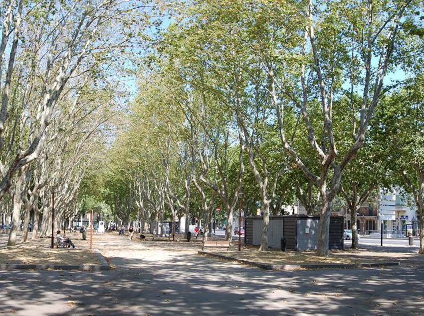 Hôtel Alexander  | Perpignan | Pyrenees-Orientales | France 8