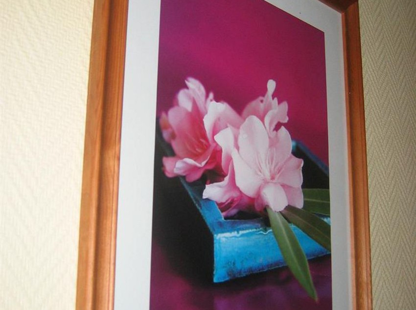 Hôtel Le Prado  | Toulouse | Haute-Garonne | France 5