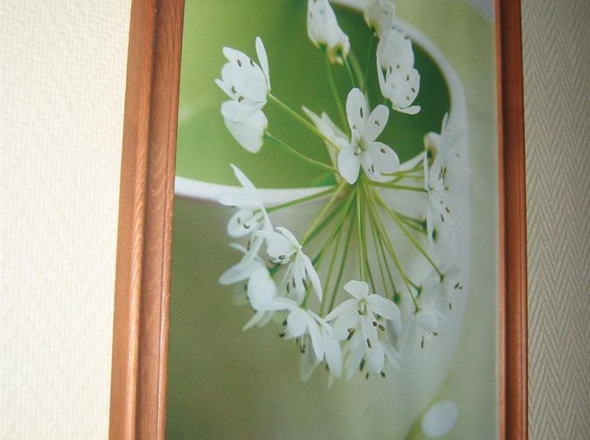 Hôtel Le Prado  | Toulouse | Haute-Garonne | France 7