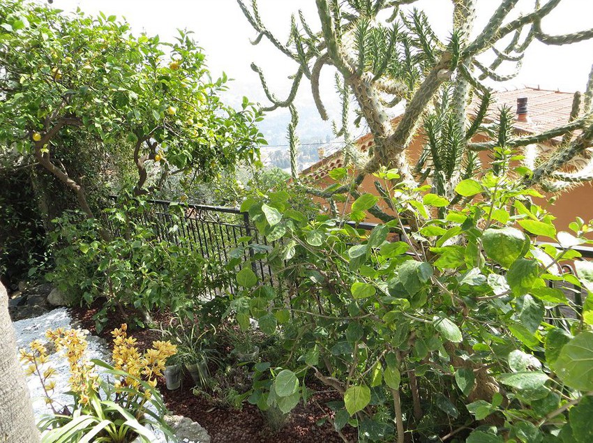 Hôtel Regency  | Roquebrune-cap-Martin | Alpes-Maritimes | France 4