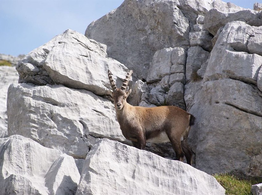 Hotel Auberge De L'orangerie Sallanches Alta Saboya