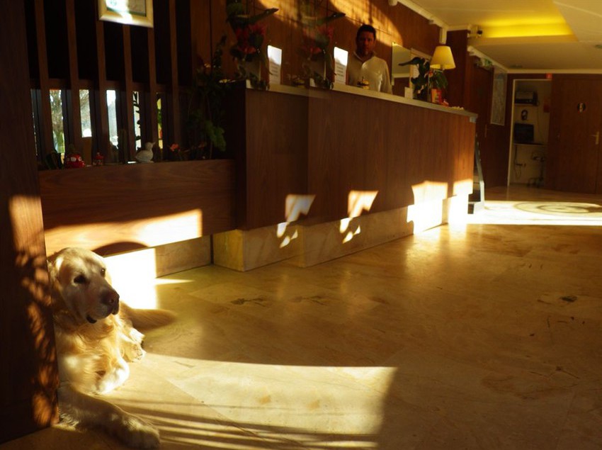 Hôtel Atalante  | Annemasse | Haute-Savoie | France 16