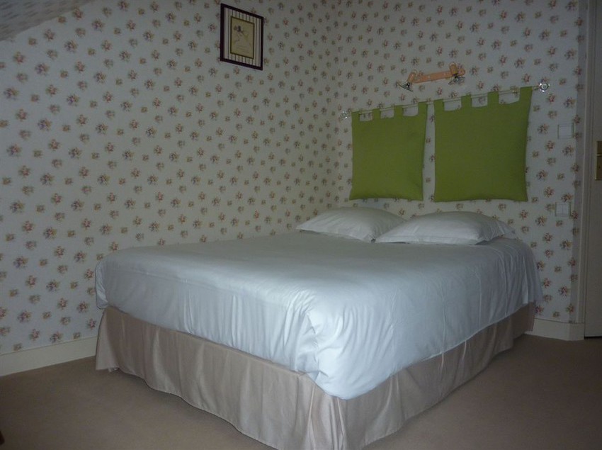 Hôtel Du Manoir  | Tours | Indre-et-Loire | France 8