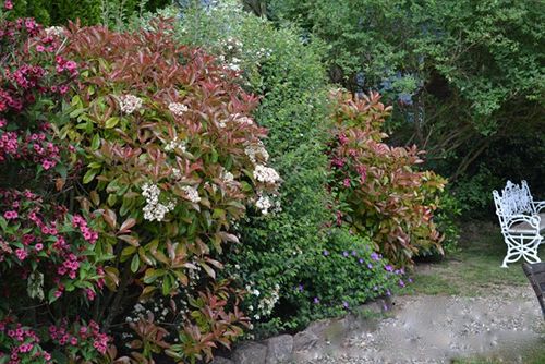 Hôtel Les Prés D'ondine  | Baldenheim | Bas-Rhin | France 5