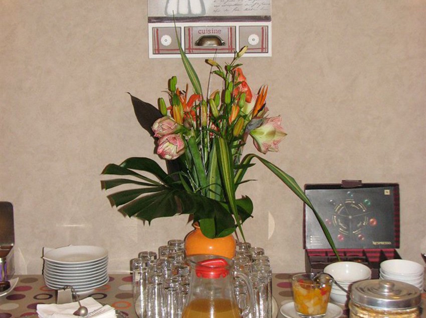 Hôtel La Croix Blanche  | Tarbes | Hautes-Pyrenees | France 2