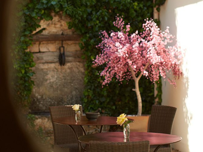 Hôtel La Maison D'olivier Leflaive  | Puligny Montrachet | Cote d'Or | France 14