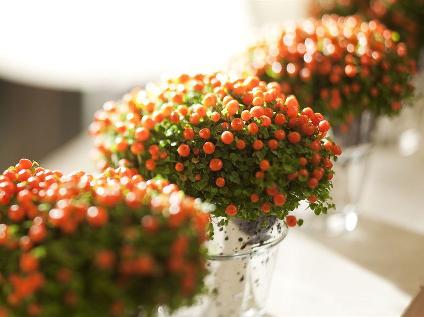 Hôtel Eiffel Turenne  | Paris | Paris | France 20